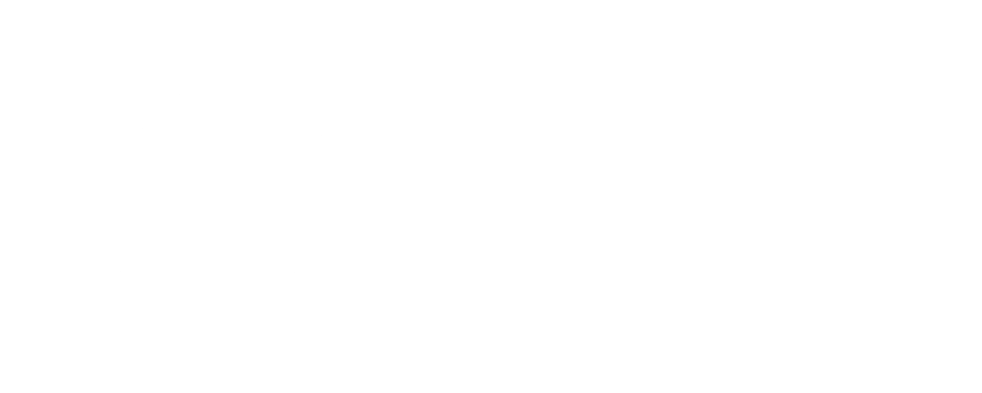 Alfa Security